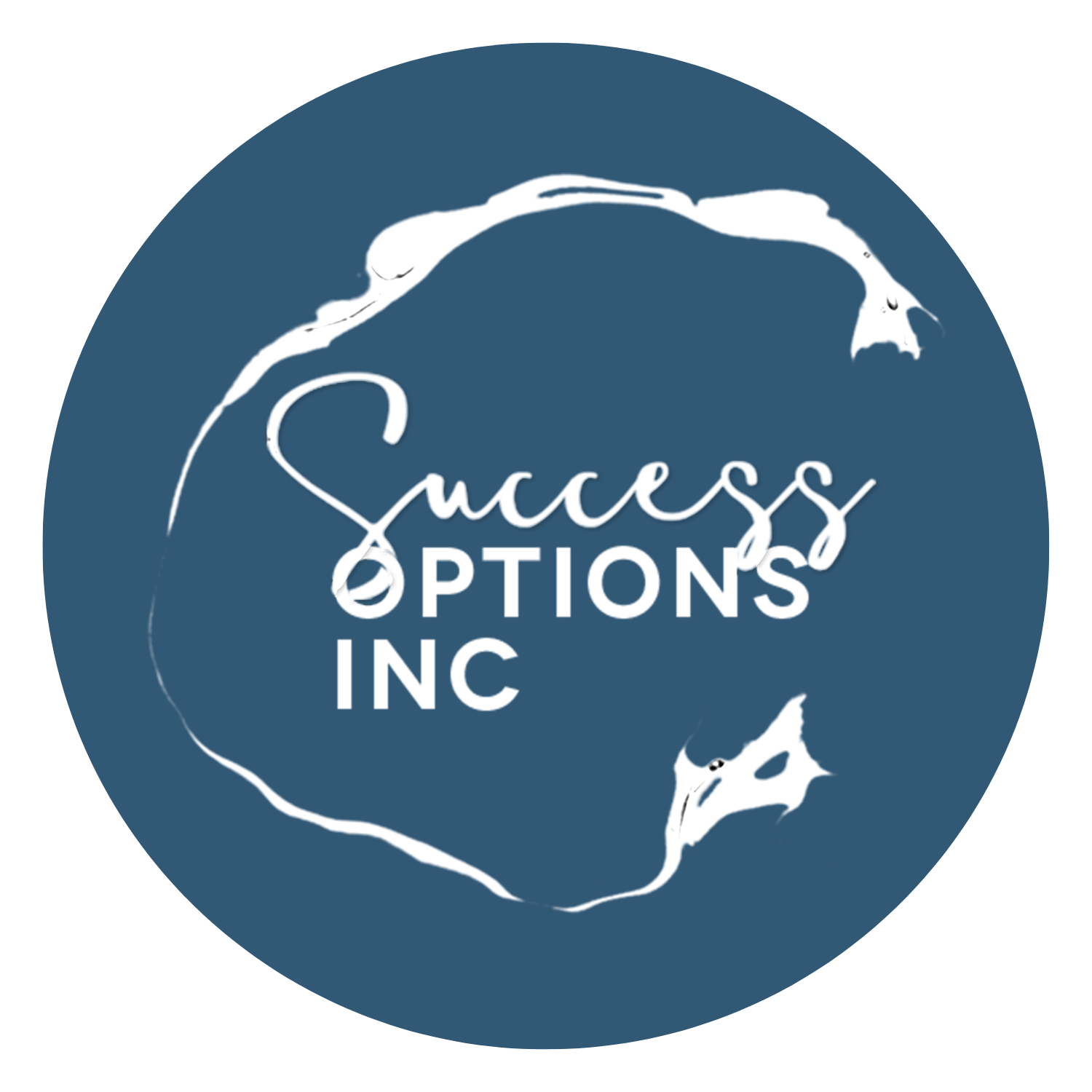 successoptionsinc.com